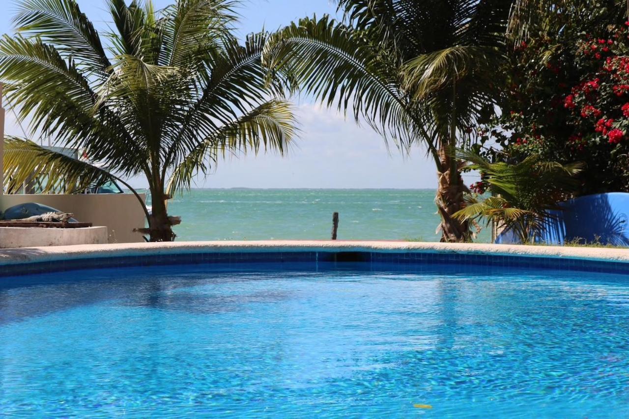 Seaak Cancun Rentals Eksteriør billede